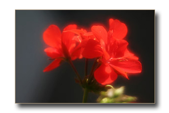 eneida_01